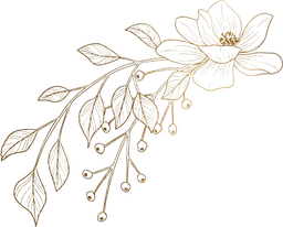 flowers1
